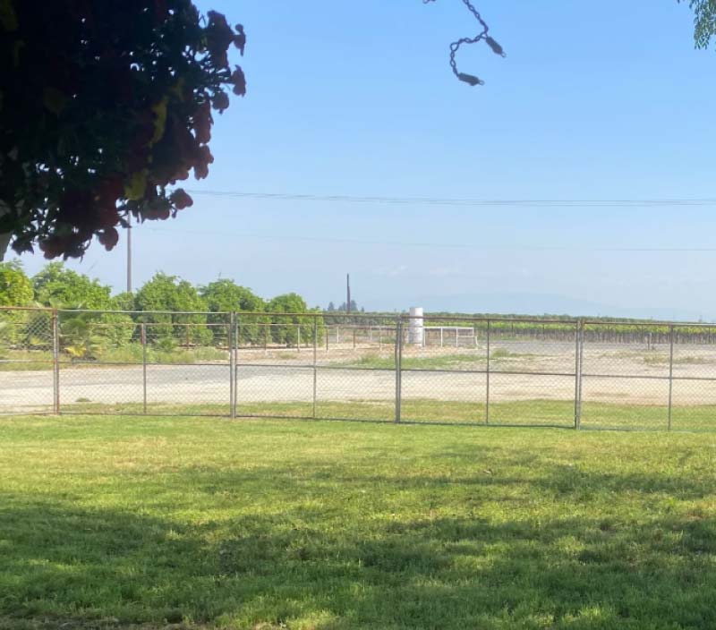 A wide, sunlit view of a lush green lawn bordered by a professional-grade temporary chain-link fence, with a green Sierra Sanitation waste bin positioned near a large tree in the foreground. The background features a sprawling agricultural vineyard under a clear blue sky, illustrating the heavy-duty fencing and sanitation solutions provided for agricultural and commercial sites.