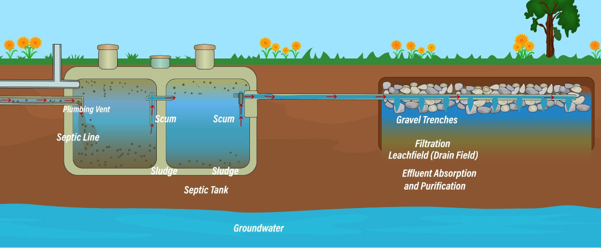 This visualization illustrates how does septic tank works, a common on-site sewage treatment method used in areas without access to a centralized sewer system