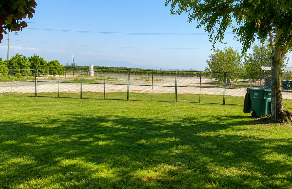 A professional-grade chain-link temporary fence installation by Sierra Sanitation bordering a lush green lawn, with a clean green portable waste bin positioned under a shade tree overlooking an agricultural field