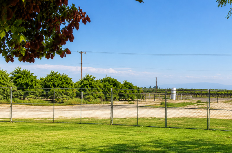 Secure perimeter fencing provided by Sierra Sanitation framing a manicured green workspace, featuring high-quality chain-link panels that separate a residential or commercial lawn from a neighboring orchard and vineyard